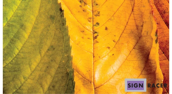 SIGNRACER UV nyomtatók ipari nyomtatási környezetbe